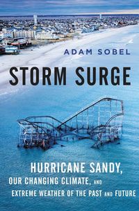 Produktbild: Storm Surge