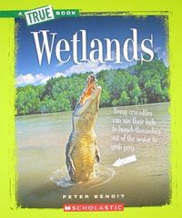 Produktbild: Wetlands