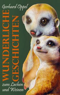 Produktbild: Wunderliche Geschichten