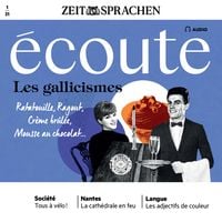 Produktbild: Franz&ouml;sisch lernen Audio - Gallizismen