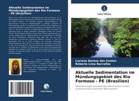 Produktbild: Aktuelle Sedimentation im M&uuml;ndungsgebiet des Rio Formoso - PE (Brasilien)