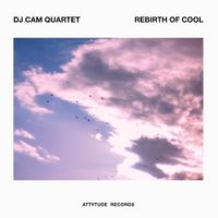 Produktbild: Rebirth Of Cool