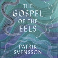 Produktbild: The Gospel of the Eels
