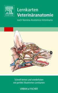 Bild vom Artikel Lernkarten Veterinäranatomie/Veterinary Anatomy Flash Cards vom Autor Baljit Singh