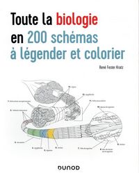 Produktbild: Toute la biologie en 200 sch&eacute;mas &agrave; l&eacute;gender et colorier
