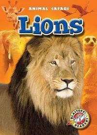 Produktbild: Lions