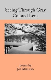 Produktbild: Seeing Through Gray Colored Lens