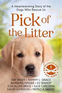 Produktbild: Pick of the Litter (Dragonfly Cove Dog Park, #1)