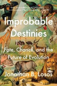 Produktbild: Improbable Destinies