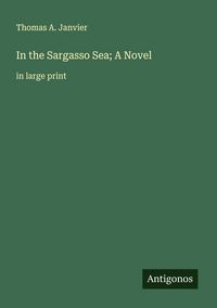 Produktbild: In the Sargasso Sea; A Novel