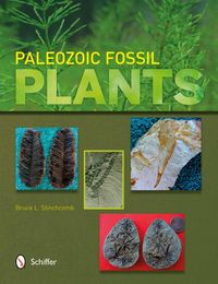 Produktbild: Paleozoic Fossil Plants
