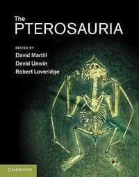 Produktbild: Pterosauria