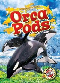 Produktbild: Orca Pods