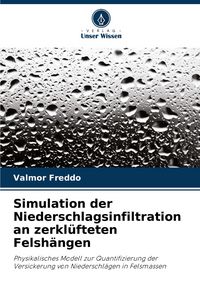 Produktbild: Simulation der Niederschlagsinfiltration an zerkl&uuml;fteten Felsh&auml;ngen