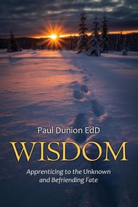 Produktbild: Wisdom