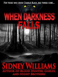 Produktbild: When Darkness Falls