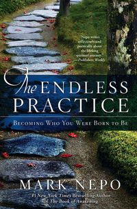 Produktbild: The Endless Practice