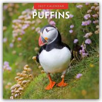 Produktbild: Puffins &ndash; Papageitaucher 2027 &ndash; 16-Monatskalender