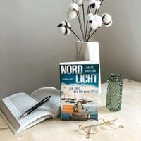 Nordlicht - Die Tote im Küstenfeuer