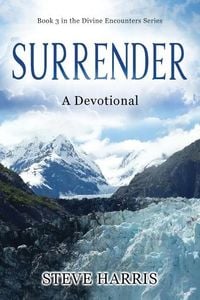 Produktbild: Surrender