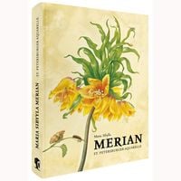 Produktbild: Maria Sibylla Merian – St. Petersburger Aquarelle (Jubiläumsausgabe)