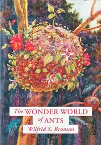 Produktbild: The Wonder World of Ants
