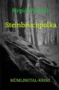 Bild vom Artikel Mümlingtal-Krimi / Steinbruchpolka vom Autor Birgid Windisch