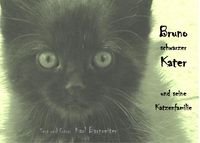 Produktbild: Bruno schwarzer Kater