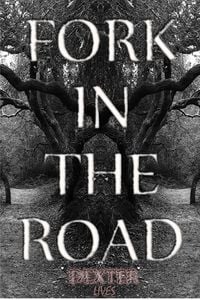 Produktbild: Fork In The Road (Poetic Lyrics)