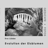 Produktbild: Evolution der Eisblumen