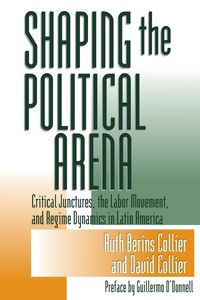 Produktbild: Shaping the Political Arena