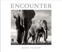 Produktbild: Yarrow, D: Encounter