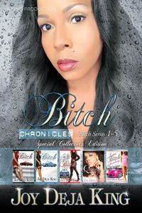 Produktbild: Bitch Chronicles