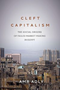 Produktbild: Cleft Capitalism