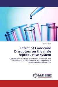 Produktbild: Effect of Endocrine Disruptors on the male reproductive system