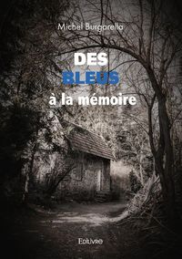 Produktbild: Des bleus a la memoire