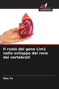 Produktbild: Il ruolo del gene Lim1 nello sviluppo del rene dei vertebrati