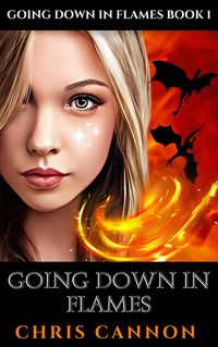 Produktbild: Going Down In Flames