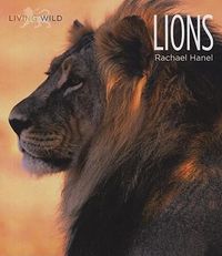Produktbild: Lions