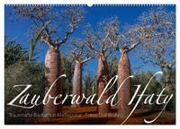 Produktbild: Zauberwald Ifaty &middot; Traumhafte Baobabs in Madagaskar (Wandkalender 2026 DIN A2 quer), CALVENDO Monatskalender