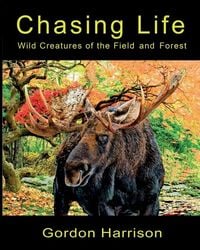 Produktbild: Chasing Life
