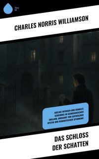 Produktbild: Das Schloss der Schatten