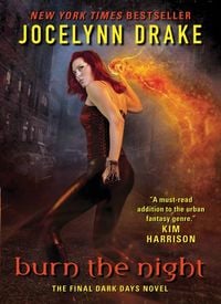 Produktbild: Burn the Night