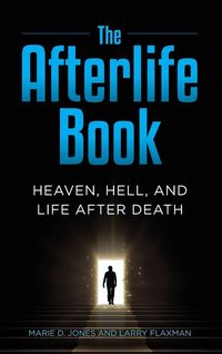 Produktbild: The Afterlife Book