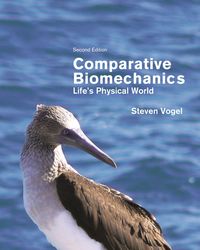 Produktbild: Comparative Biomechanics