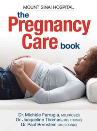 Produktbild: Pregnancy Care Book