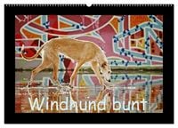 Produktbild: Windhund bunt (Wandkalender 2027 DIN A2 quer), CALVENDO Monatskalender