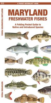 Produktbild: Maryland Freshwater Fishes