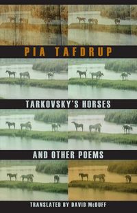 Produktbild: Tarkovsky's Horses and other poems