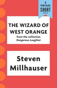 Produktbild: The Wizard of West Orange